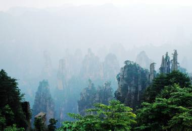 難忘的張家界之旅，美不盛收的武陵源美景！