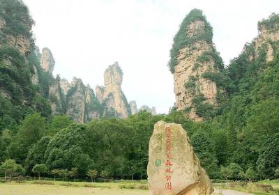 走湘西——張家界、鳳凰古城游記(一)